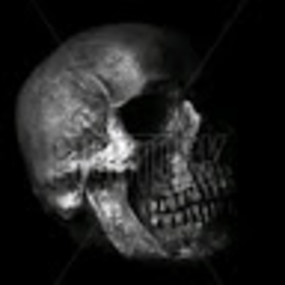 Meet your Posher, Mando deablo